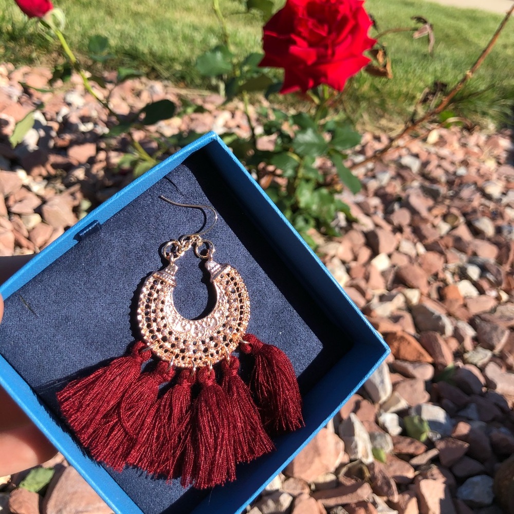 Earrings